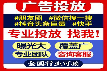 某电商平台的SEM策略与效果展示
